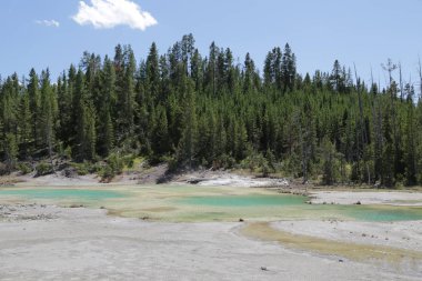  yellowstone milli parkı doğa  