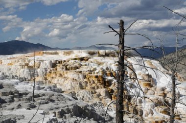  yellowstone milli parkı doğa  