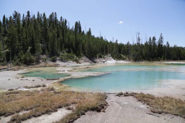  yellowstone milli parkı doğa  