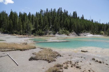  yellowstone milli parkı doğa  