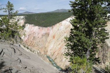  yellowstone milli parkı doğa  