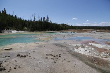  yellowstone milli parkı doğa  