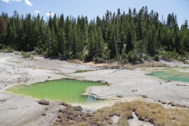  yellowstone milli parkı doğa  