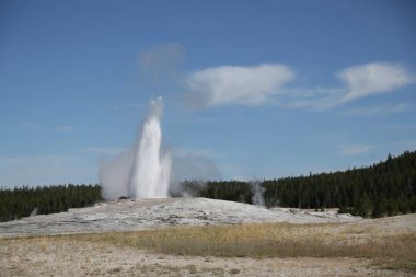 yellowstone milli parkı doğa  