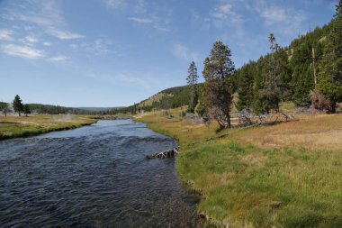  yellowstone milli parkı doğa  