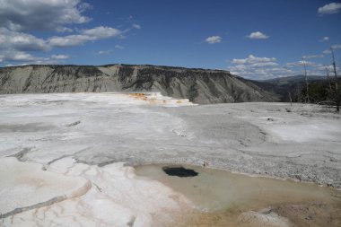  yellowstone milli parkı doğa  