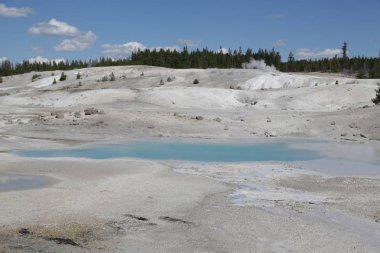  yellowstone milli parkı doğa  