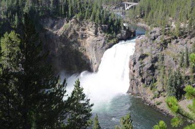  yellowstone milli parkı doğa  