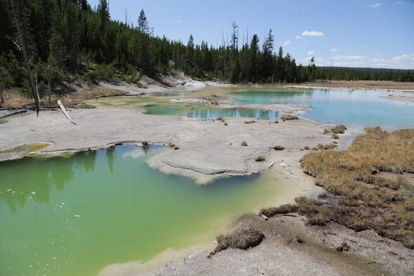 Yellowstone national park the nature — Stock Photo, Image