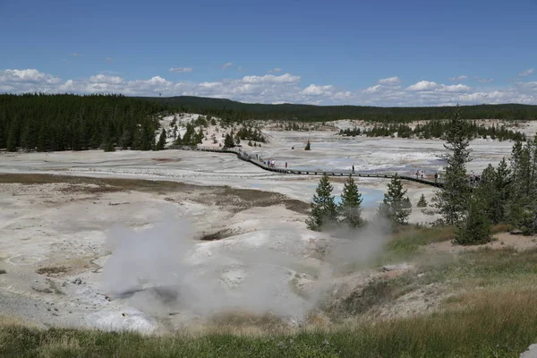 Yellowstone National Park de natuur — Stockfoto