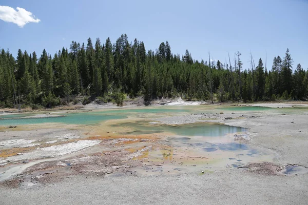 Parco nazionale di yellowstone la natura — Foto Stock