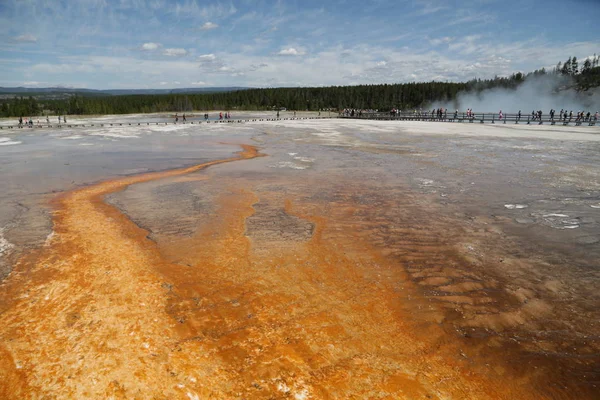 Yellowstone national park the nature — Stock Photo, Image