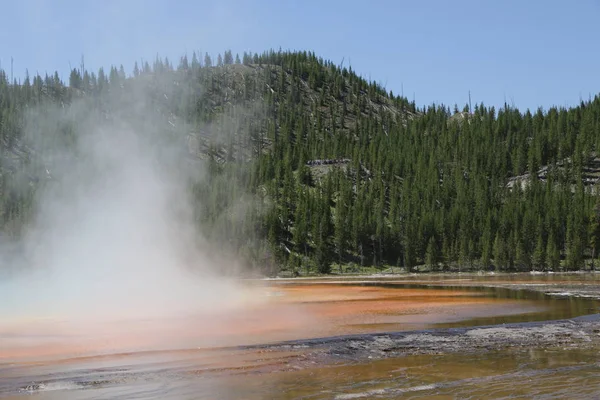 Yellowstone National Park de natuur — Stockfoto