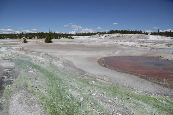 Parque Nacional de Yellowstone la naturaleza — Foto de Stock