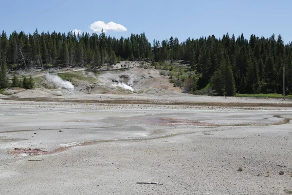 Yellowstone national park the nature — Stock Photo, Image