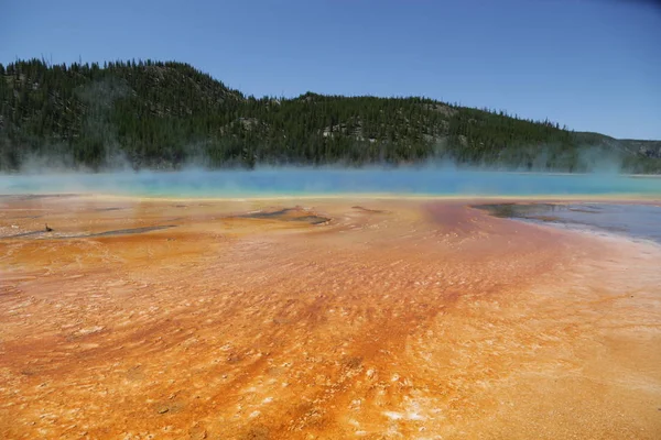 Parc national de Yellowstone la nature — Photo