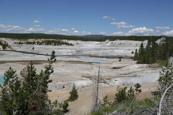 Parco nazionale di yellowstone la natura — Foto Stock