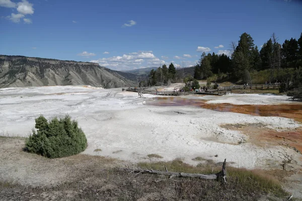 Parque Nacional de Yellowstone la naturaleza — Foto de Stock