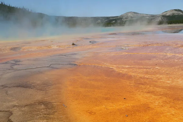 Parc national de Yellowstone la nature — Photo