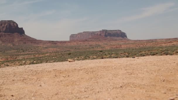 Schöner Blick Auf Das Tal Des Denkmals Usa — Stockvideo