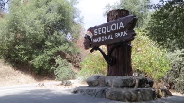 Mennesker Inde Sequoia Park – Stock-video