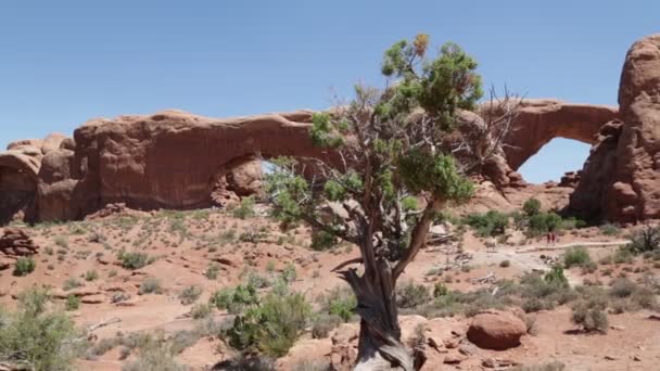 Mensen Wandelen Arches National Park Verenigde Staten — Stockvideo