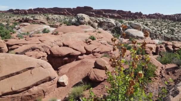 Vacker Utsikt Från Arches National Park — Stockvideo