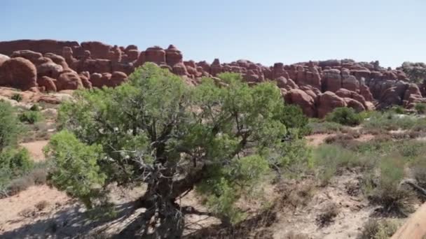 Pessoas Caminhando Parque Nacional Dos Arcos Eua — Vídeo de Stock