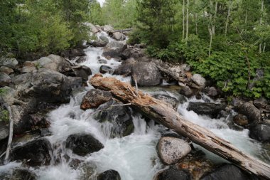   Grand Teton Ulusal Parkı 