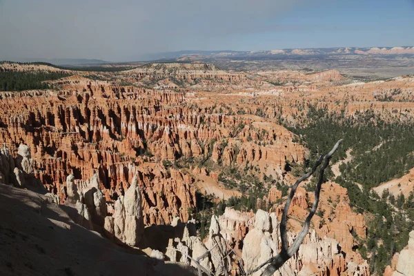 Bryce parque nacional a beleza da natureza — Fotografia de Stock