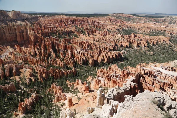 Bryce   national  park the beauty of nature — Stock Photo, Image