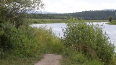Grand Teton Ulusal Parkı 'ndaki gölün manzaralı görüntüleri.