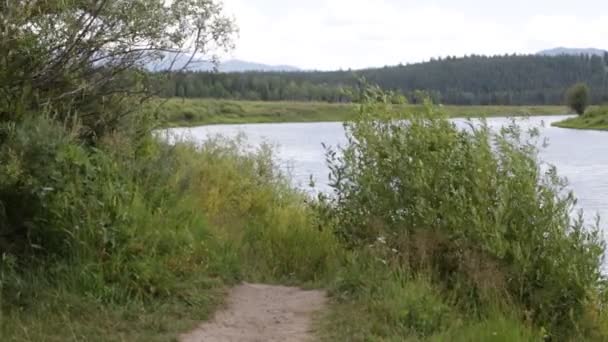 Natursköna Bilder Sjön Grand Teton Nationalpark — Stockvideo