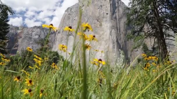 Прекрасний Вид Yosemite Національний Парк Сша — стокове відео