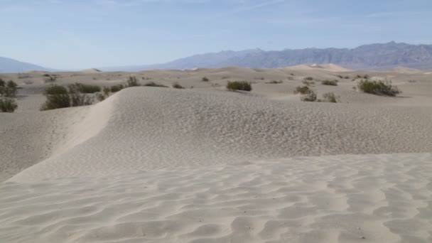 Death Valley Park Stany Zjednoczone Ameryki — Wideo stockowe