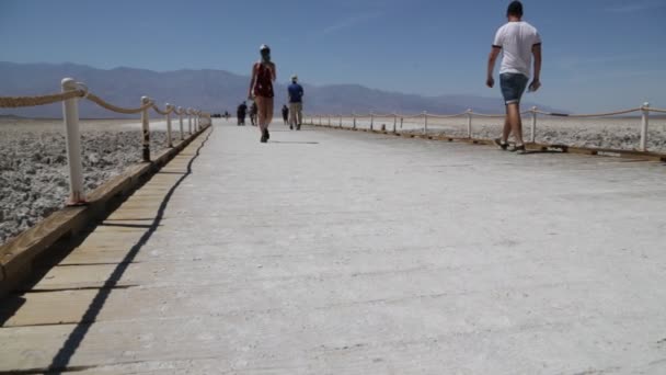 Mensen Lopen Death Valley Park — Stockvideo
