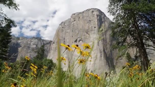 Прекрасний Вид Yosemite Національний Парк Сша — стокове відео