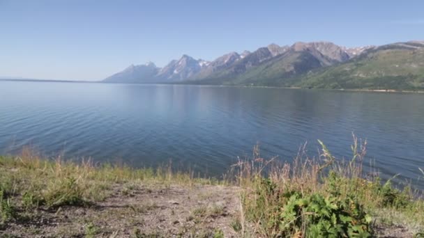 Imágenes Escénicas Del Lago Gran Parque Nacional Teton — Vídeos de Stock