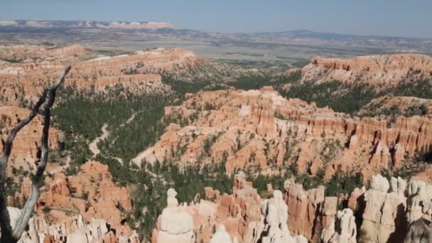 Beautiful Rocks Bryce Nationalpark Usa — Stockvideo