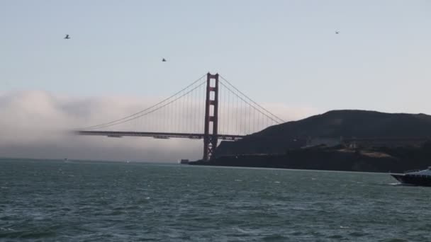 Γραφικό Υλικό Θέα Στη Θάλασσα Στο Σαν Φρανσίσκο Ηπα — Αρχείο Βίντεο