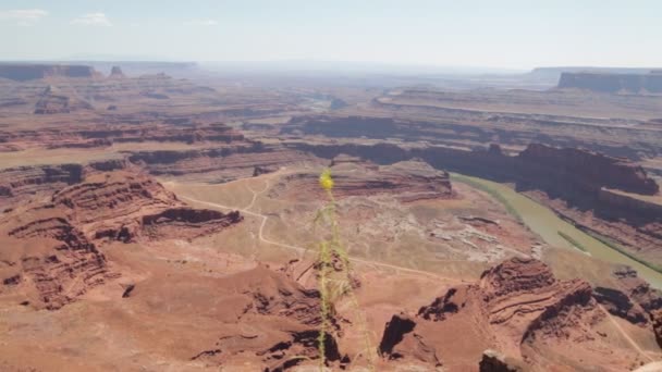 Dead Horse Point State Park Scenic Footage — Stock Video