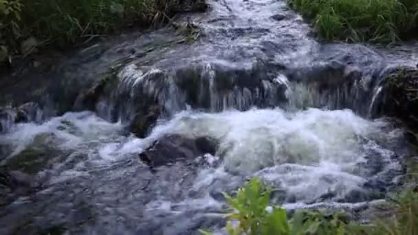 Waterfall White Background — Stock Video