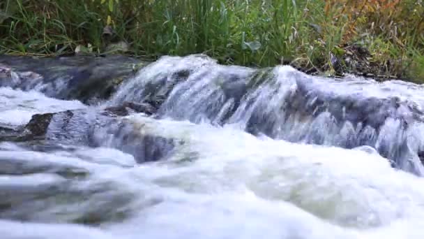 Vattenfall Den Vita Bakgrunden — Stockvideo