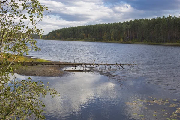 Lac Dans Nature Sauvage — Photo