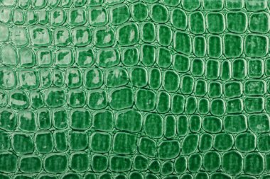 deri beyaz zemin üzerine