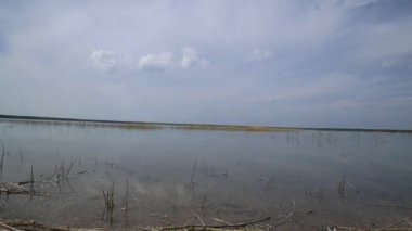 beyaz arka plan üzerinde göl