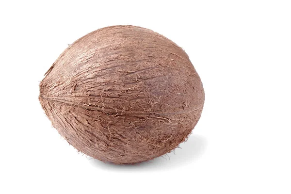 Kokosnoot Witte Achtergrond Geïsoleerd — Stockfoto