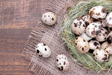 Bıldırcın yumurta yakın çekim kahverengi ahşap arka plan üzerinde yuva yanında. Üstten görünüm