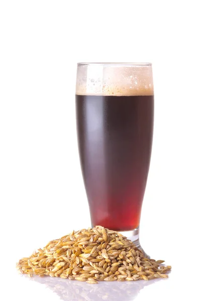 Темное Пиво Стакане Ячменным Зерном Белом Фоне Изолированные — стоковое фото