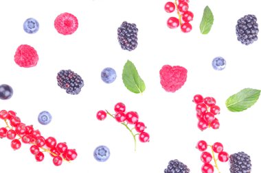 Çeşitli taze yakın çekim dahil böğürtlen, ahududu, böğürtlen ve kuş üzümü beyaz bir arka plan üzerinde meyveleri. izole. üstten görünüm